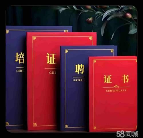 5个质疑：教师资格证仿真制作流程的真相与风险